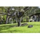 420 | Automower Grands Jardins