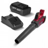 PACK - HHB 36 BXB + Chargeur + Batterie | Souffleur à Batterie